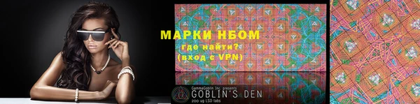 стаф Алексин