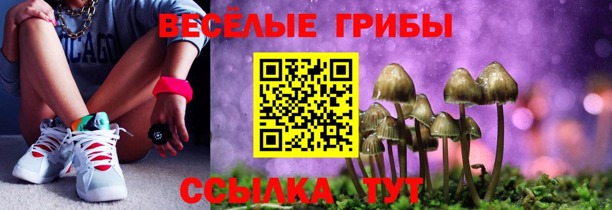 Менделеевск  Галлюциногенные грибы мухоморы  Вход с VPN  Галлюциногенные грибы MAGIC MUSHROOMS 